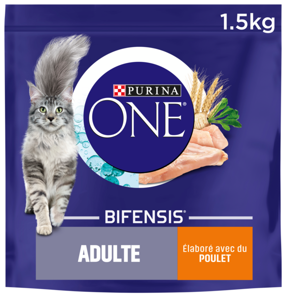CROQUETTES CHAT ADULTE POULET
ONE