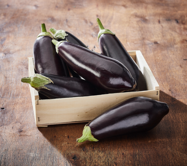 AUBERGINE 