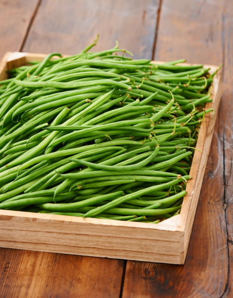 HARICOT VERT 