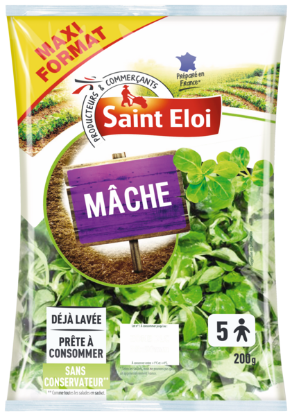 MÂCHE 
SAINT ELOI