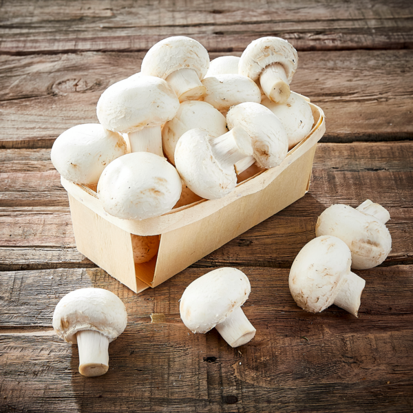 CHAMPIGNON BLANC 
MON MARCHÉ PLAISIR