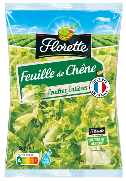 FEUILLE DE CHÊNE VERTE 
FLORETTE