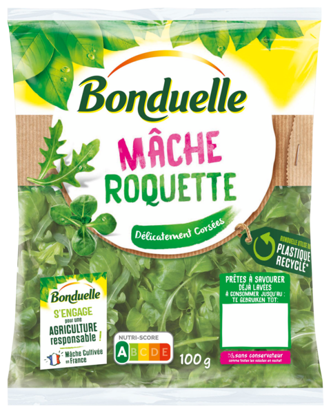 MÂCHE ROQUETTE 
