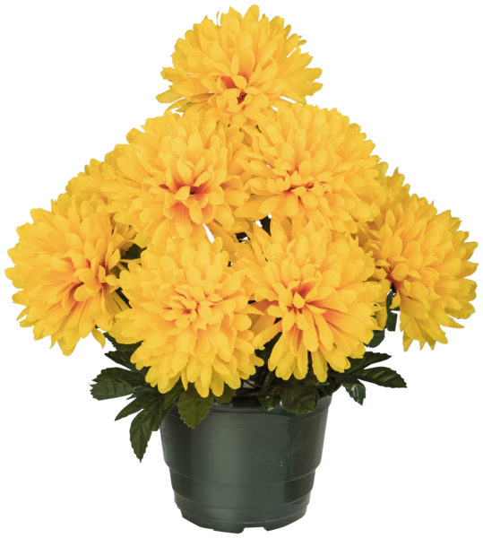 POT CHRYSANTHEMES 9 TETES 