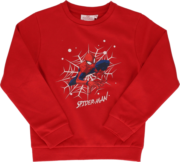 Sweat garçon 
Spiderman