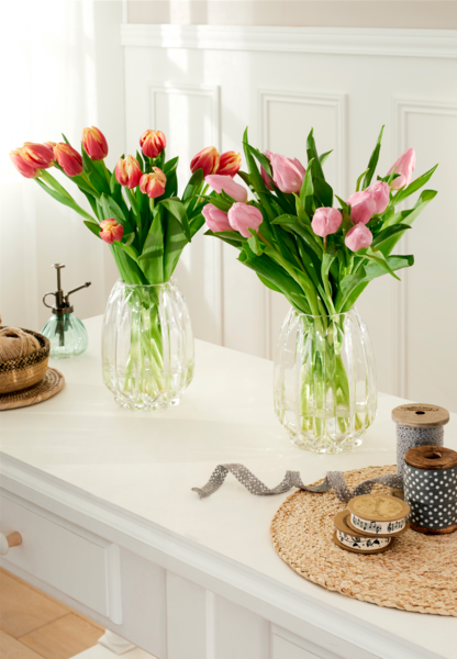 BOUQUET 10 TULIPES 