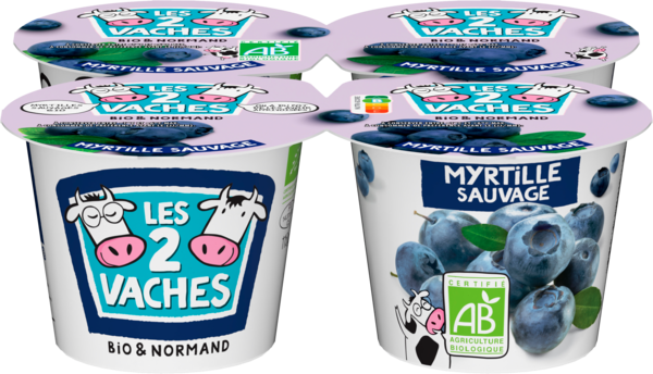 YAOURT BRASSÉ AUX MYRTILLES BIO
