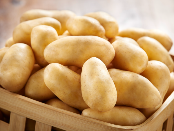 POMME DE TERRE DE CONSOMMATION 
