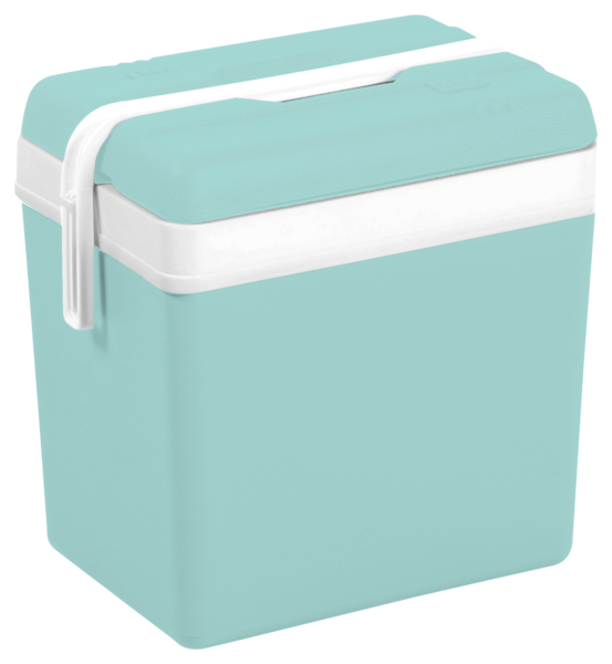 GLACIERE 24 L "PROMOTION" VERT 
