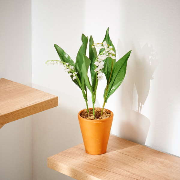 MUGUET 3 GRIFFES POT 9 CM 