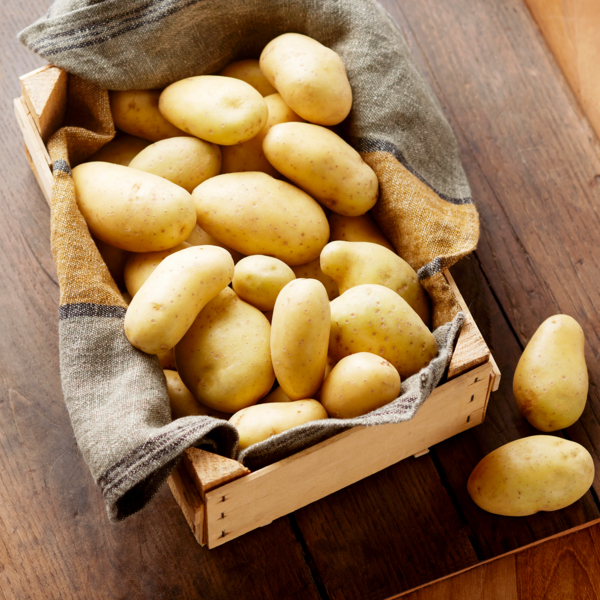 POMME DE TERRE DE CONSOMMATION 
