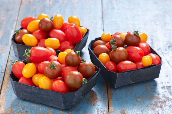 TOMATE CERISE 
