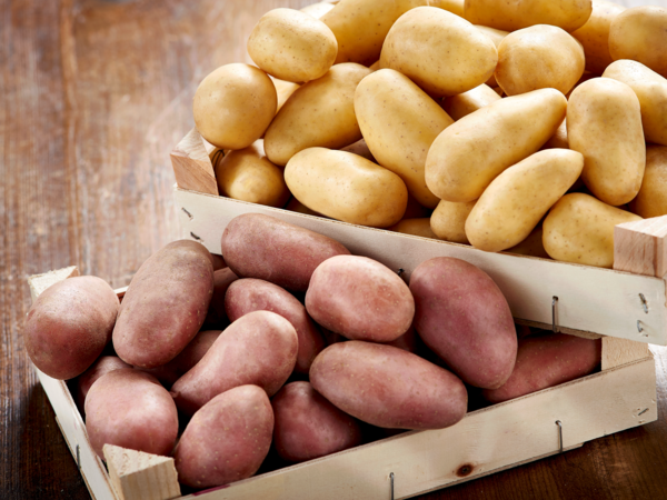 POMME DE TERRE DE CONSOMMATION A CHAIR FERME 
