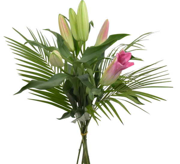 BOUQUET 3 LYS ORIENTAL AVEC FEUILLAGES 