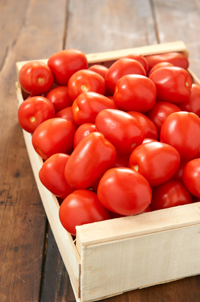 TOMATE ALLONGÉE 