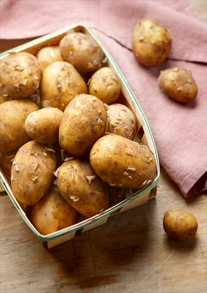 POMME DE TERRE PRIMEUR ITM TERROIRS IGP DE NOIRMOUTIER OU AOP DE L'ÎLE DE RÉ 