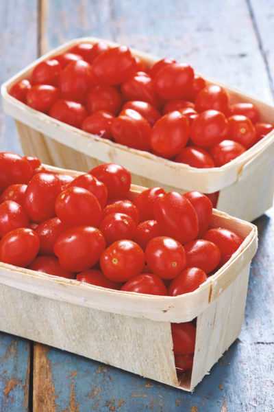 TOMATE CERISE 