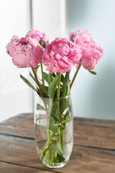 BOUQUET 5 PIVOINES Intermarché 34% en avantage carte sur une sélection de produits