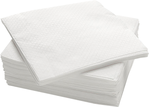 200 SERVIETTES JETABLES 
