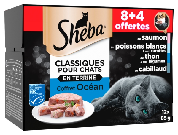 COFFRET BARQUETTES CHAT TERRINES OCÉAN
