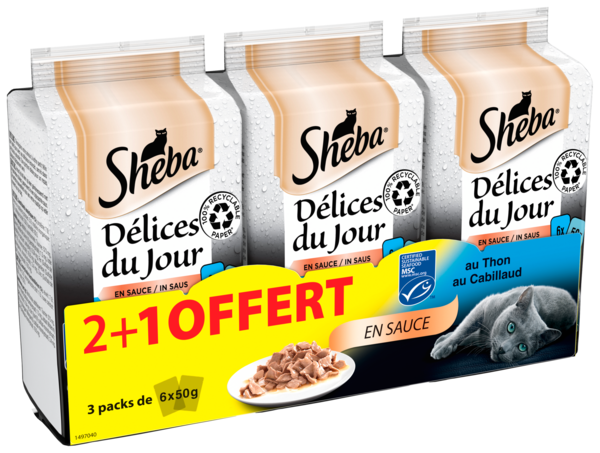 DÉLICES DU JOUR SACHETS FRAÎCHEUR CHAT EN SAUCE À LA VOLAILLE
Intermarché Toutes et tous unis contre la vie chère