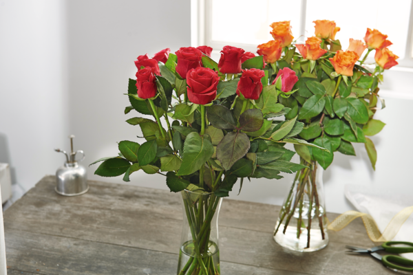 BOUQUET 10 ROSES 50 CM Intermarché Toutes et tous unis contre la vie chère