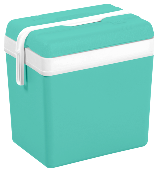 GLACIERE 24 L "PROMOTION" VERT D'EAU
Intermarché Notre sélection été