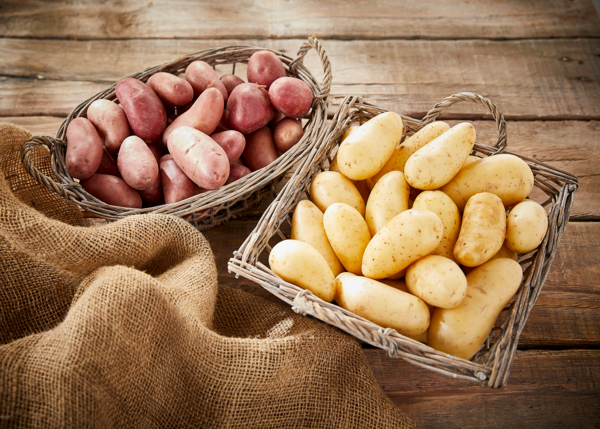 POMME DE TERRE DE CONSOMMATION A CHAIR FERME 
                                
