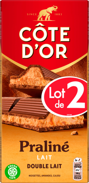 TABLETTES DE CHOCOLAT LAIT PRALINÉ DOUBLE LAIT
