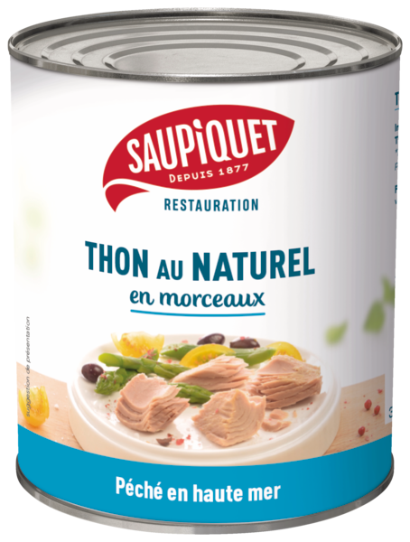 THON EN MORCEAUX NATURE 
