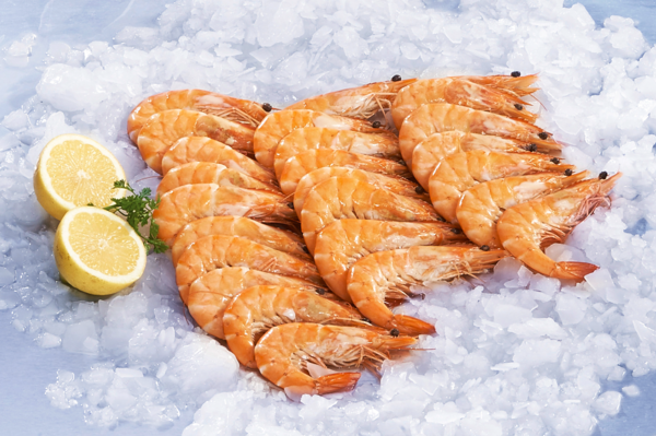 CREVETTES CUITES 